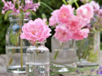 【バラの香りの香水】男性をおもわずフラりとふり向かせる魅惑のローズ系ベスト１０のイメージ写真　ピンクのバラ