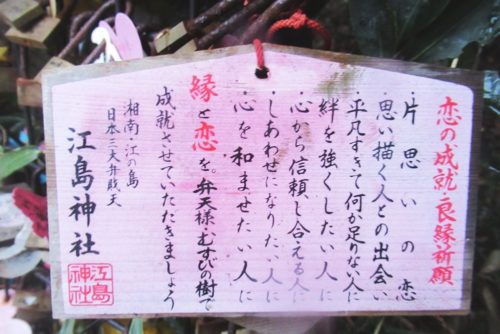 江島神社　むすびの樹　待ち受け画像